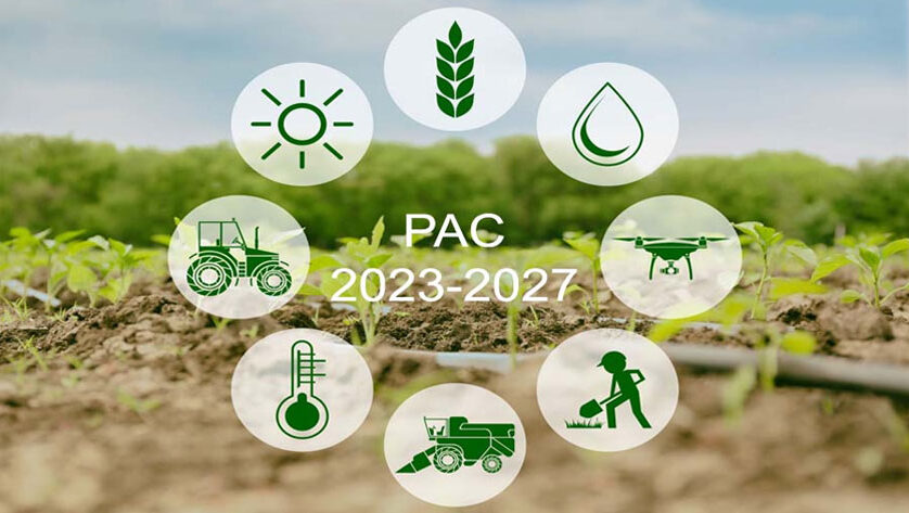 O diario oficial de Galica (DOGA) publicou o pasado luns día 20 de marzo a orde da Conselleria que regula tos pagos directos á agricultura e gandeiría pra este novo período 2023-2027